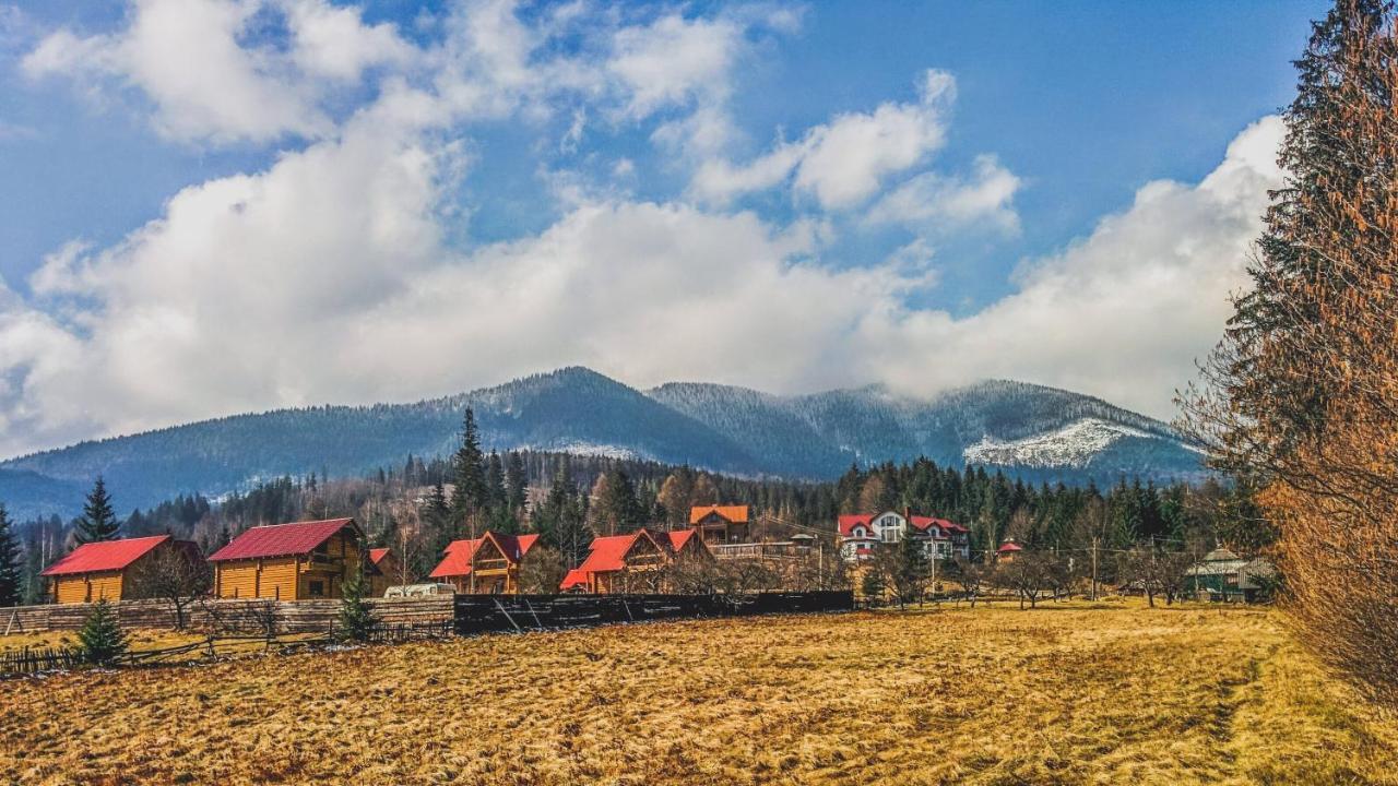 12 Months Estate Konuk evi Myslovka Dış mekan fotoğraf