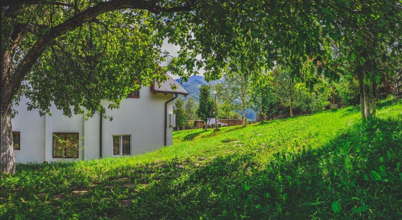 12 Months Estate Konuk evi Myslovka Dış mekan fotoğraf